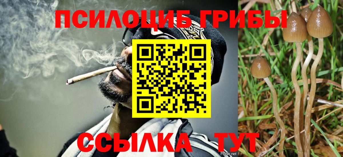 Галлюциногенные грибы Cubensis  Вход с VPN  Карпинск 